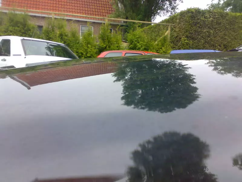 01062008354.webp