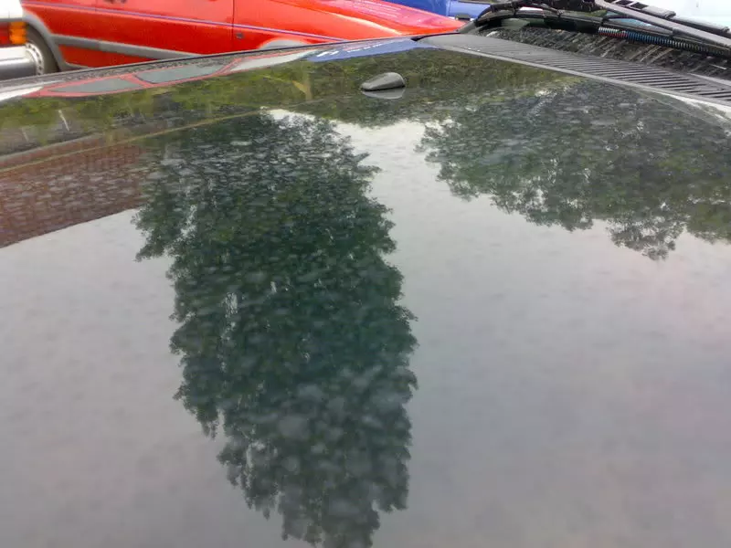 01062008355.webp