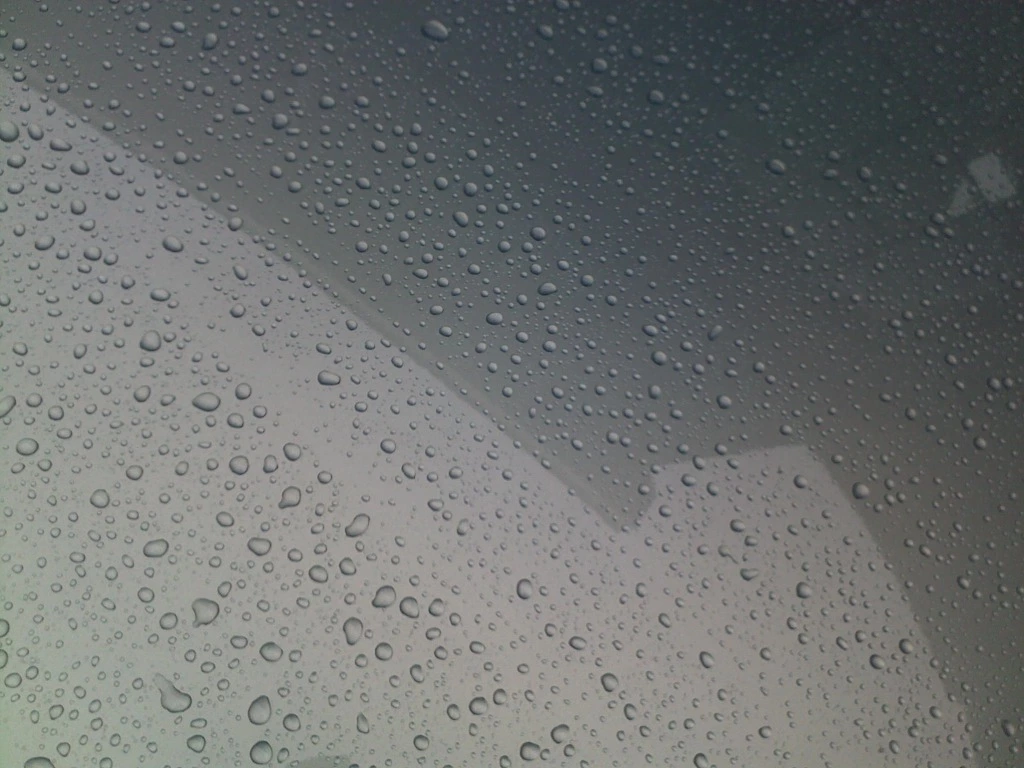 04062012020.webp