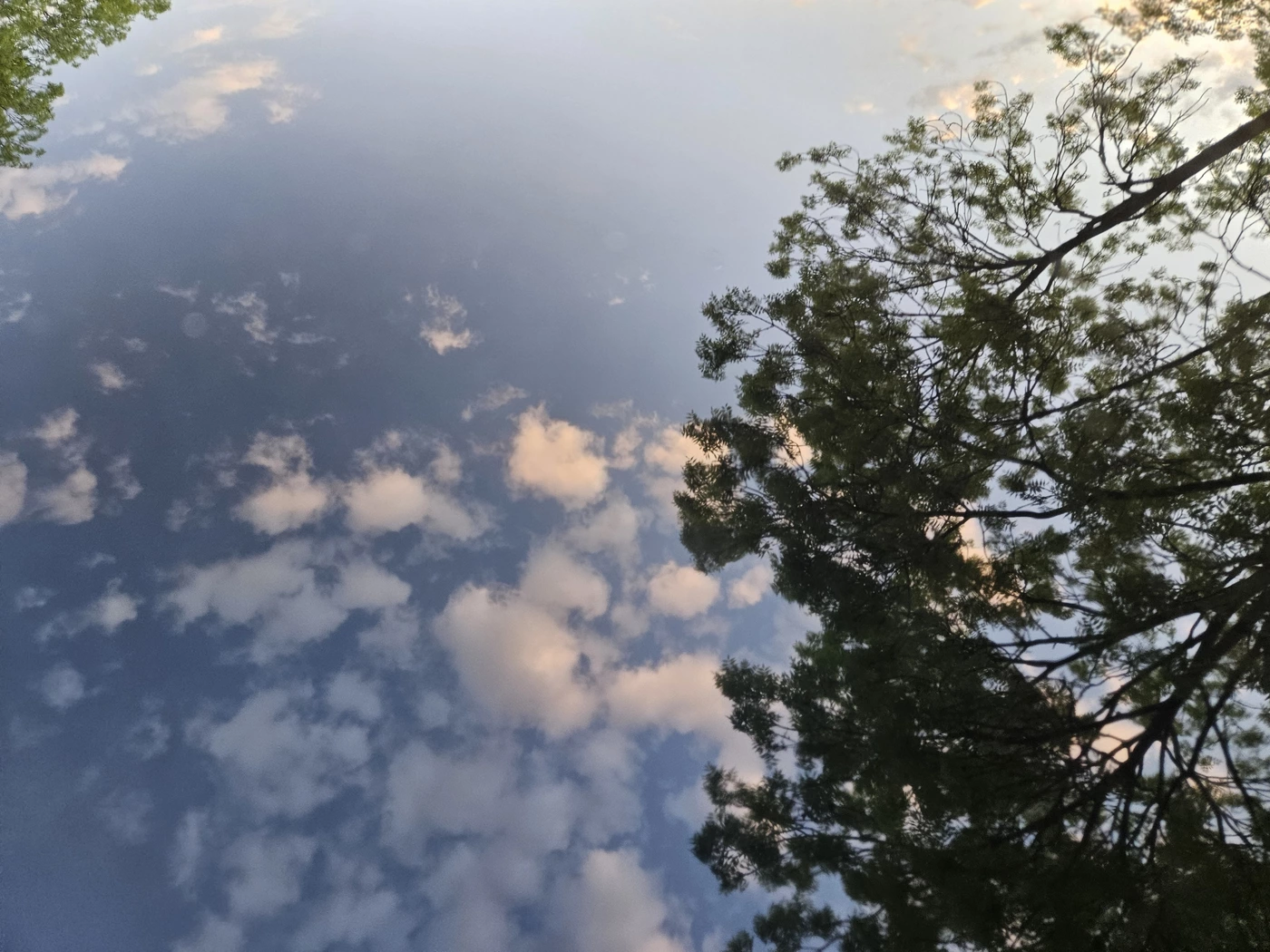 1000023560.webp