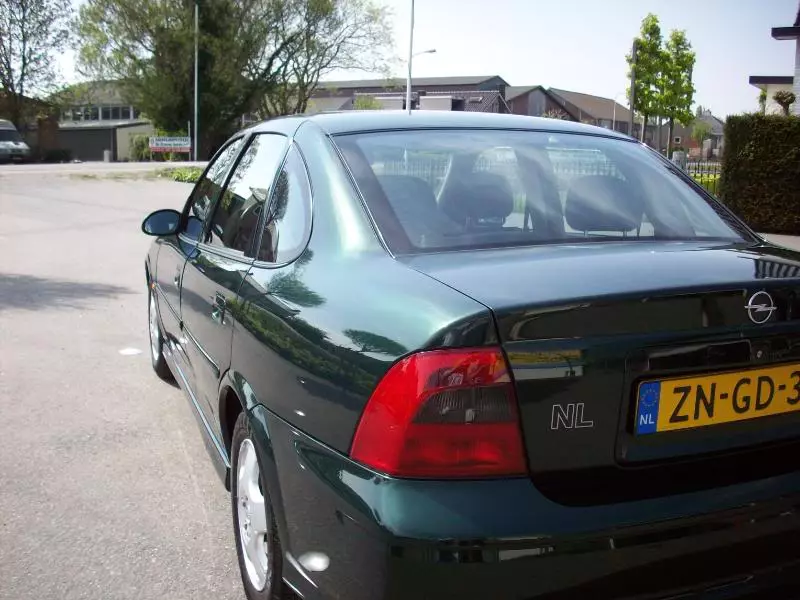 100_0541.webp