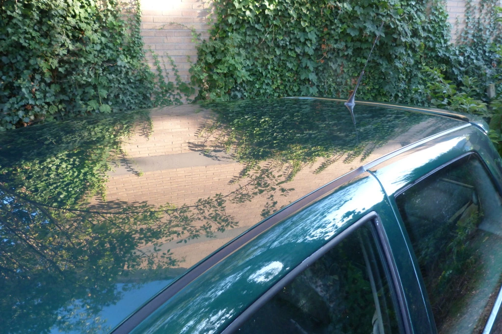 104.webp