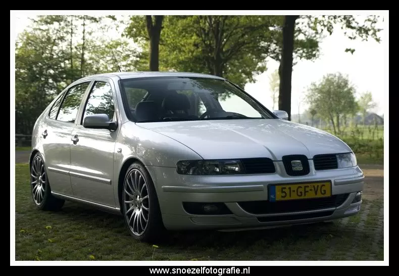 14.webp