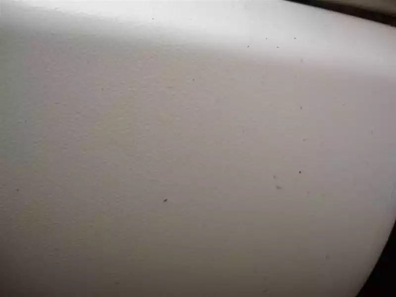 15g35n9.webp