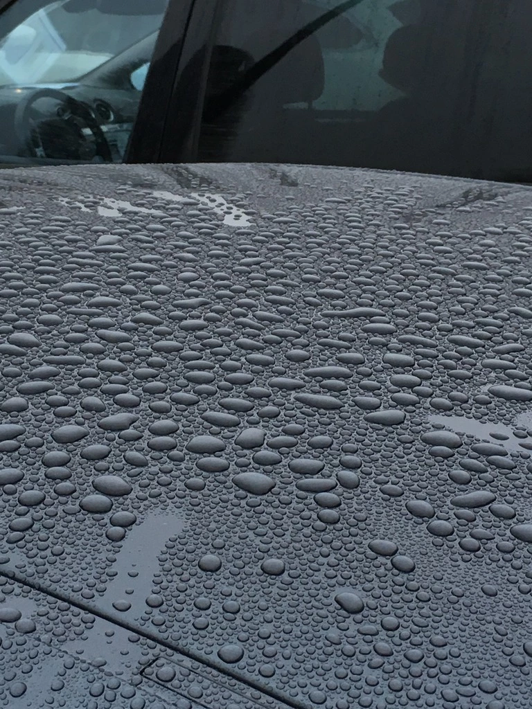 170220%20BMW%20420D%2001%20beading_zpslq5q30x4.webp