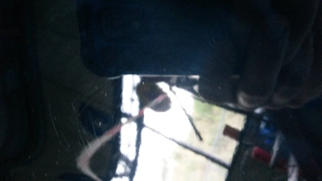 1z1y175.webp