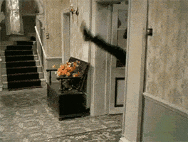 200.gif