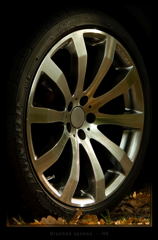 2008-10-25_Brushed_spokes.webp