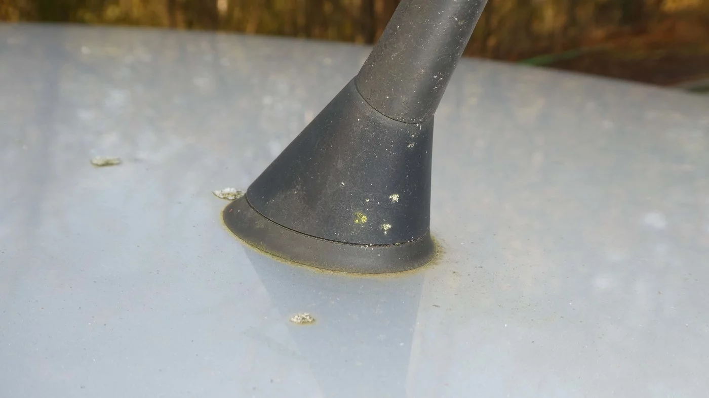 201123 VW Polo 09 antenne.webp 201123 VW Polo 09 antenne.webp