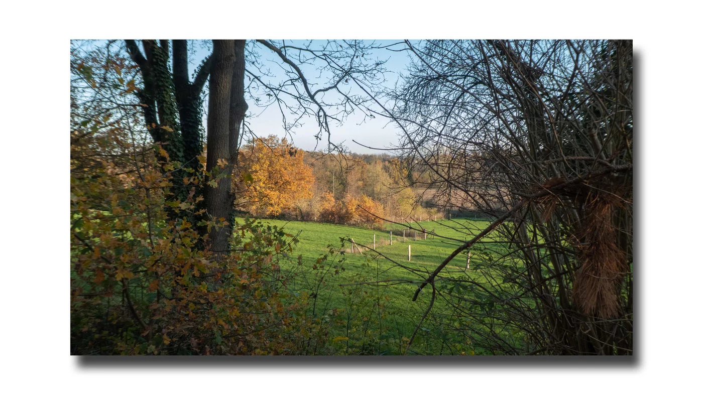 201123 VW Polo 58 landschap.webp 201123 VW Polo 58 landschap.webp