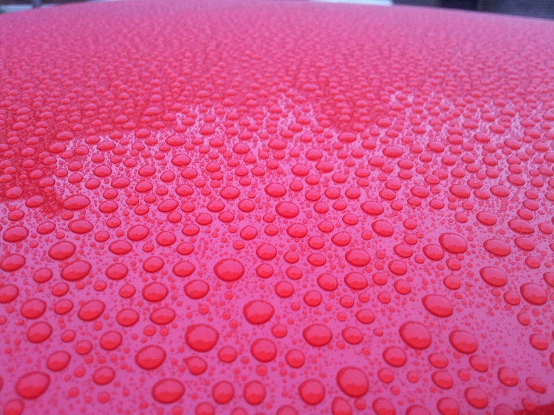 20120627_060047.webp