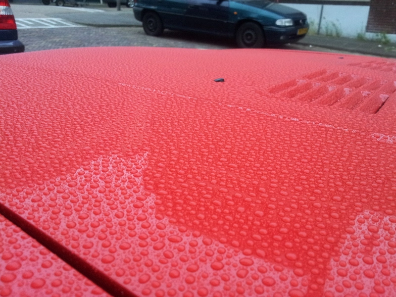 20120627_060059.webp