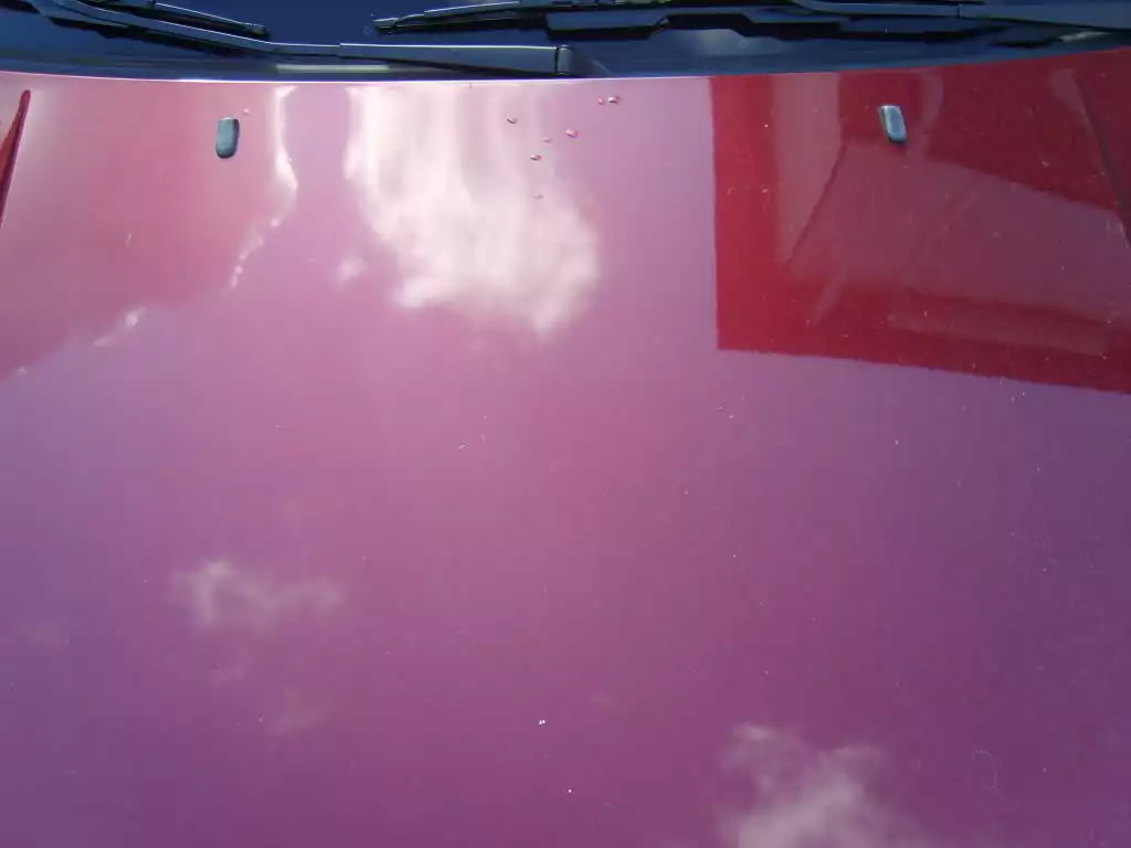 296kxn9.webp