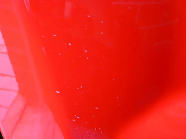 311svnl.webp