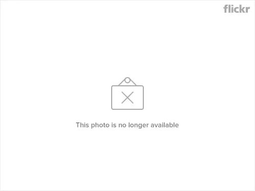 3398993715_4bc5ddeb0f.webp