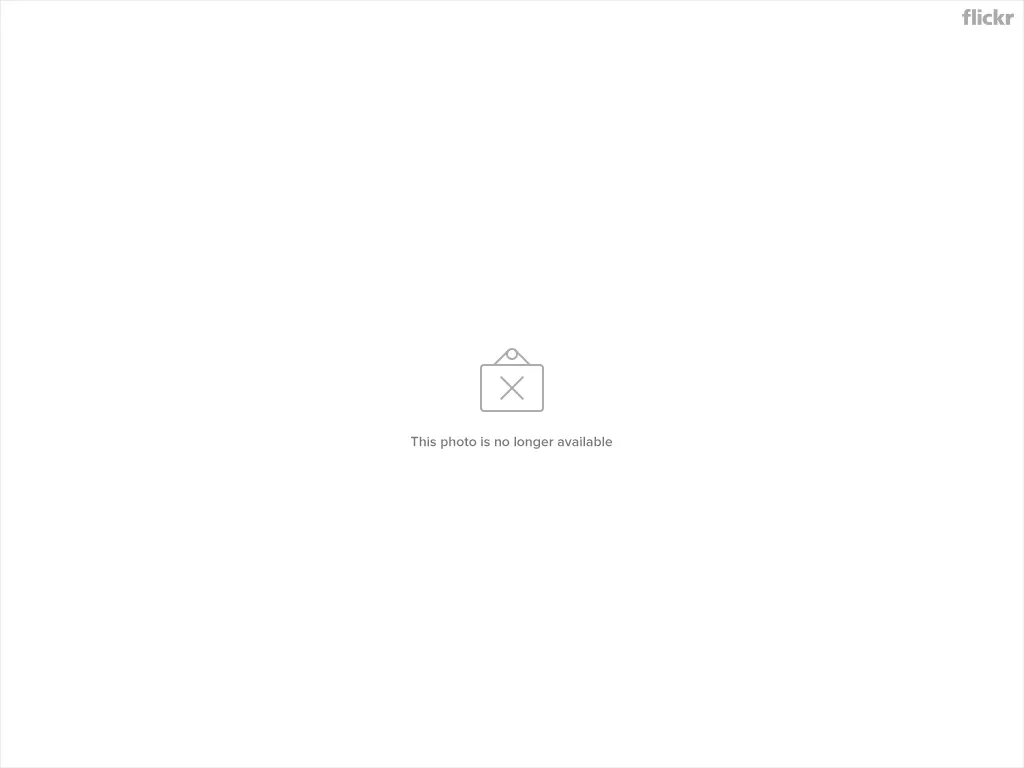 3399820198_e3a95e4492_o.webp