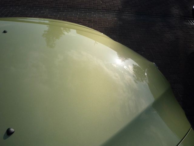 4abcff4359f4b-P1000679.webp