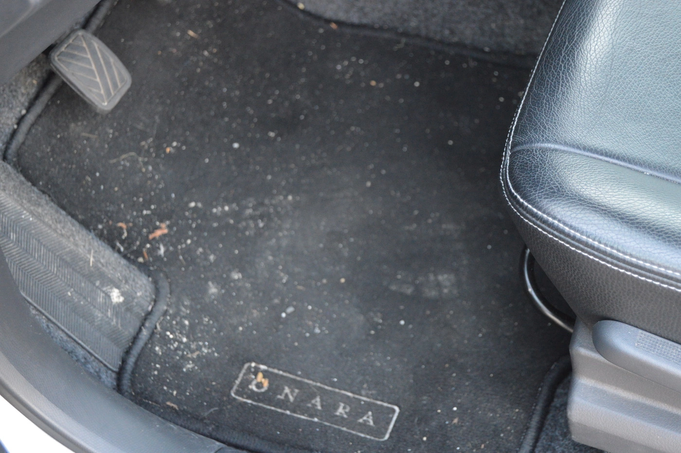 58a47cd6d0441-DSC_0332.webp