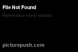 6023179.webp