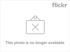 7493831834_1b5c22992c_m.webp