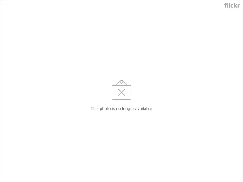8734298667_dcf286e51b_c.webp
