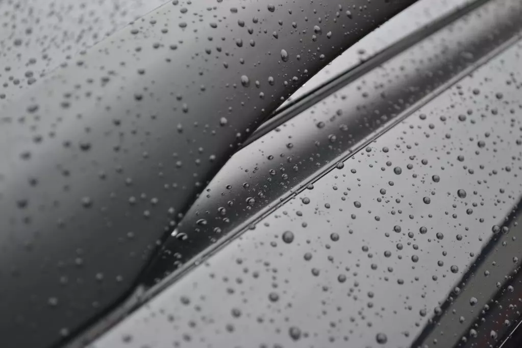 _DSC0802.webp