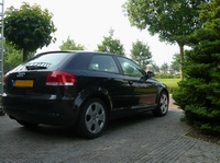 A3_1.webp