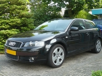 A3_2.webp