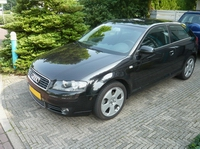 A3_3.webp