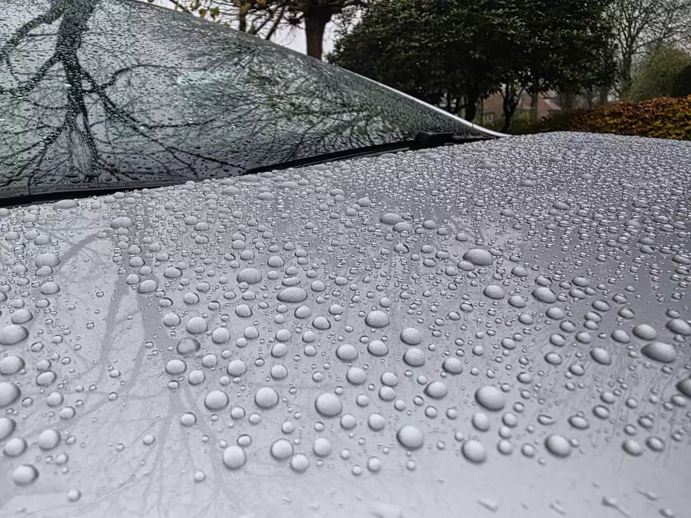 Afbeelding van WhatsApp op 2025-11-15 om 15.19.57_dd65cea7.webp