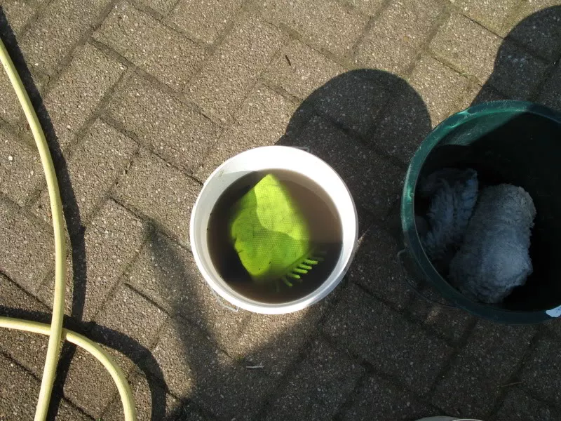 Afbeelding012.webp