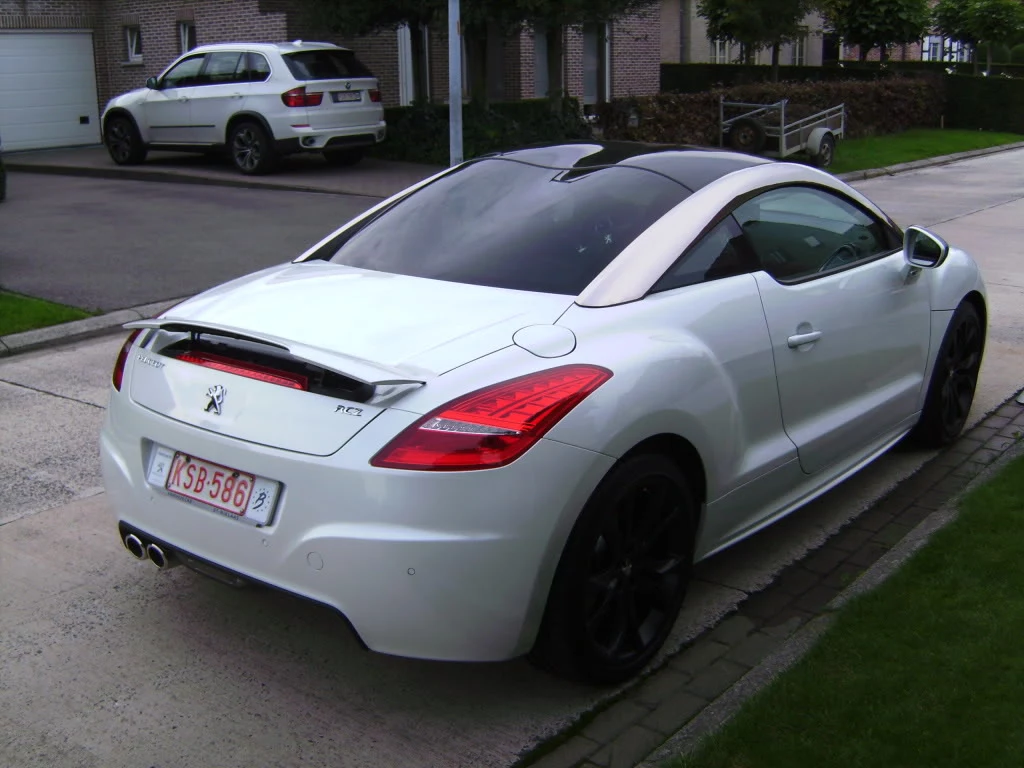 BILD0530.webp