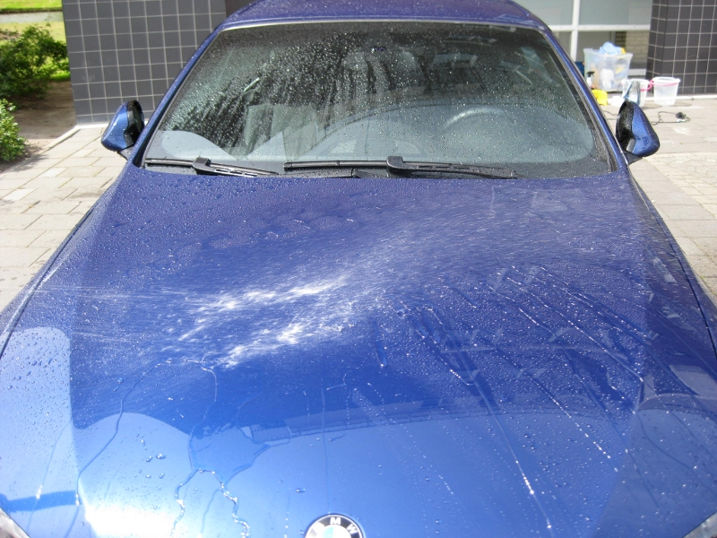 bmw10.webp