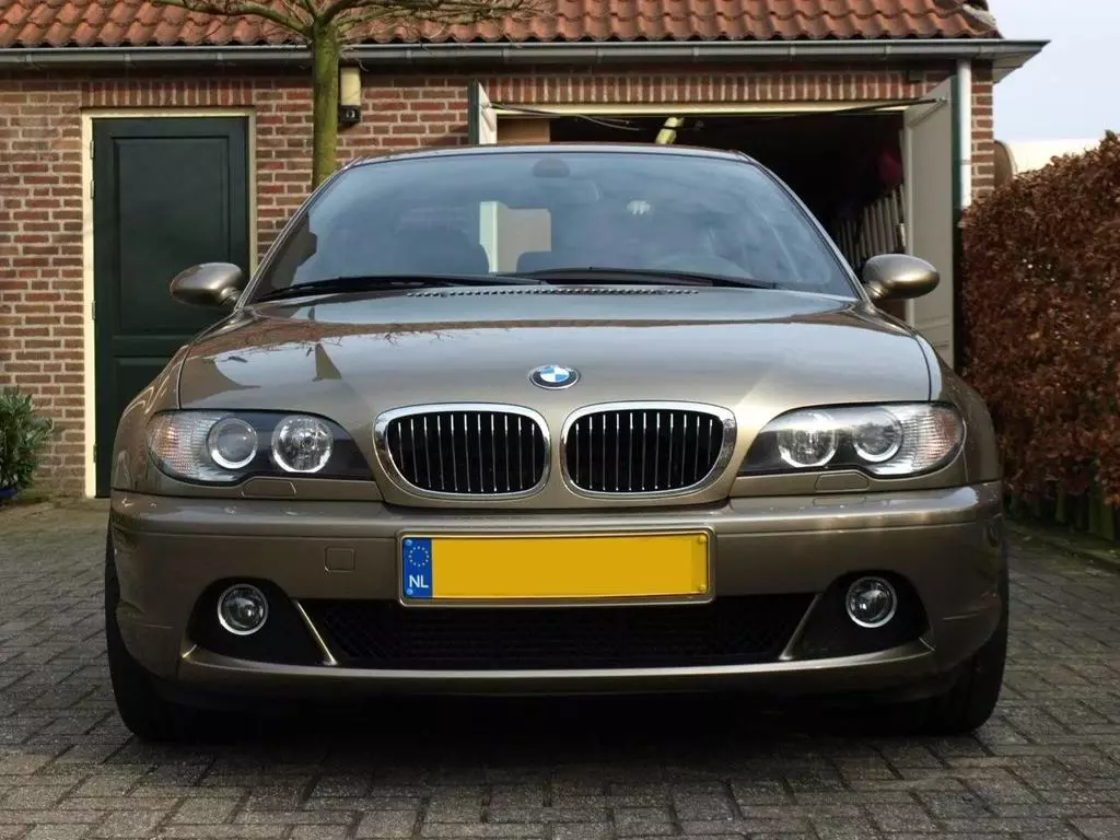 BMW_008.webp