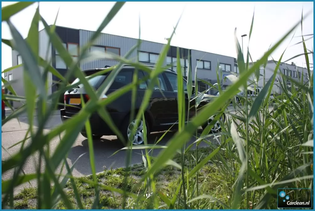 bmwx349C.webp
