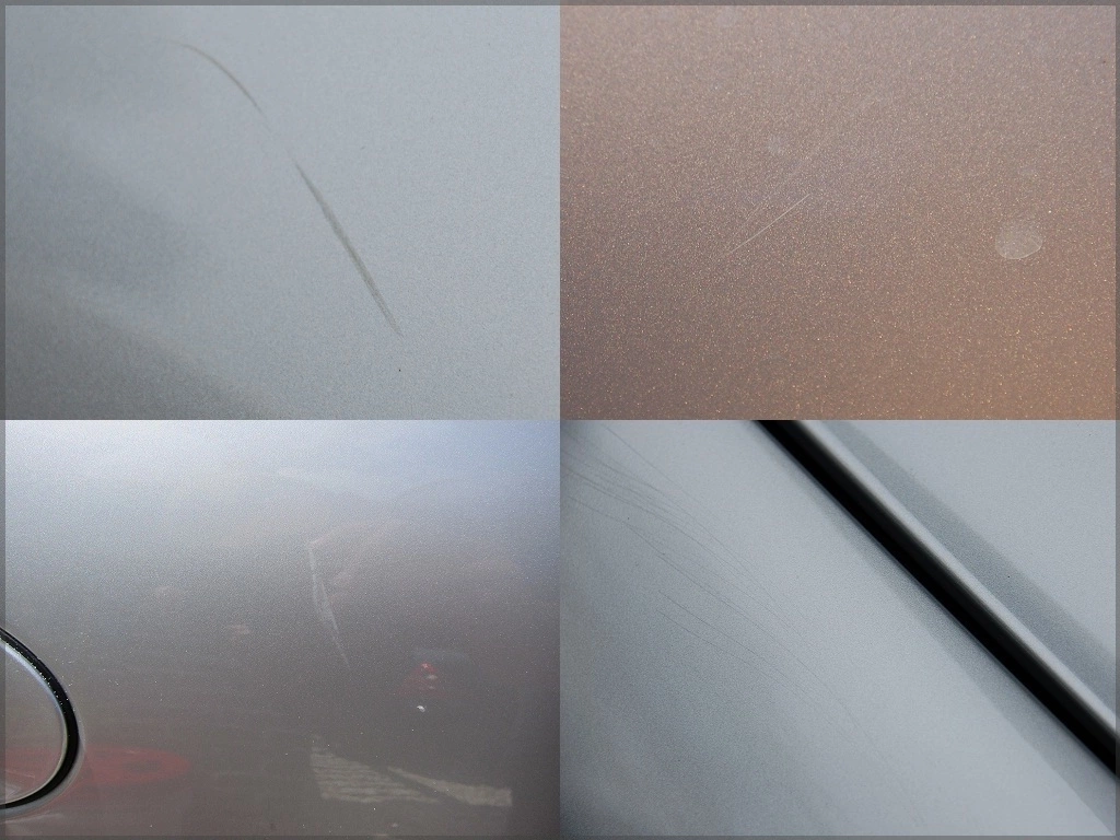 collage2.webp