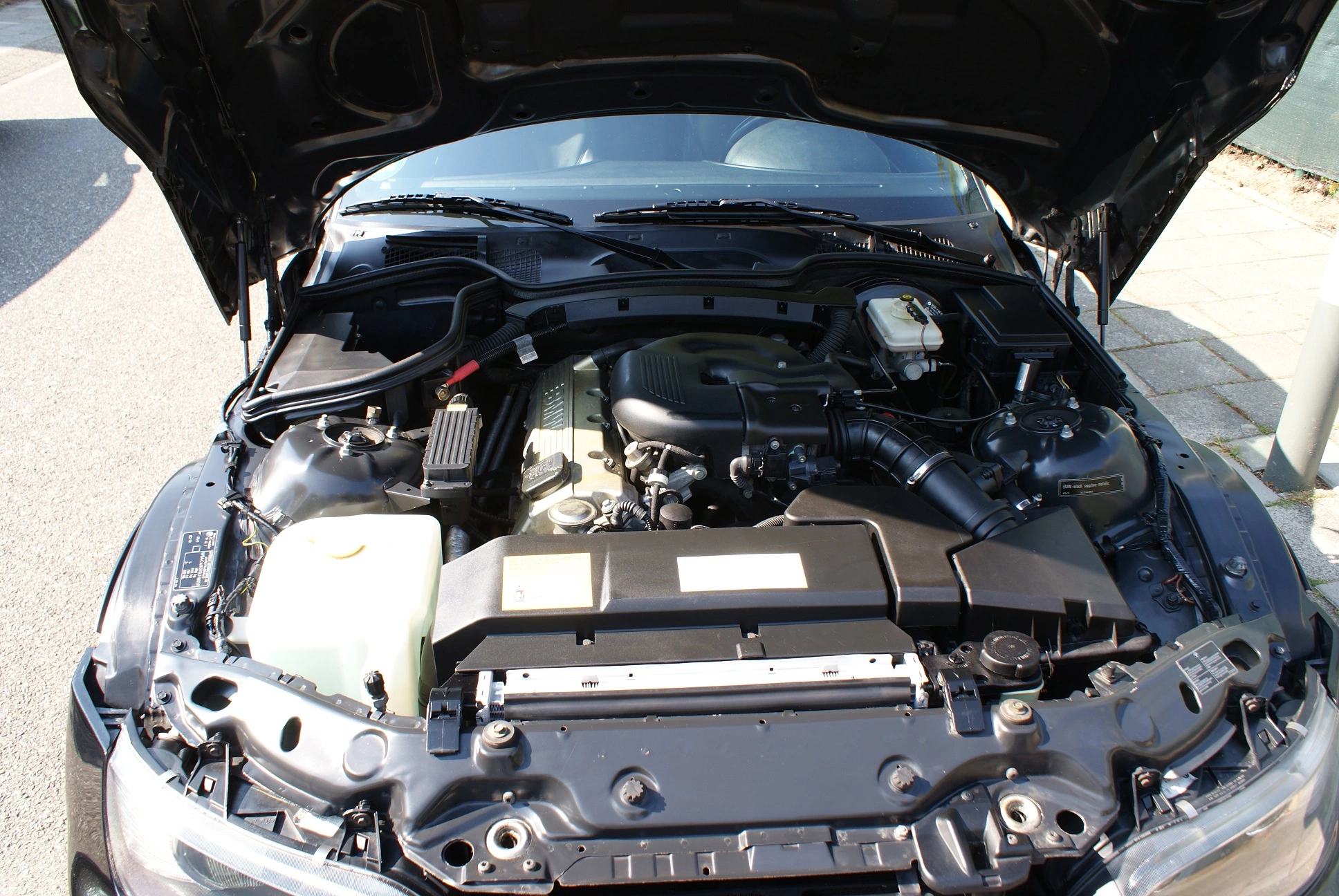 conv_541.webp