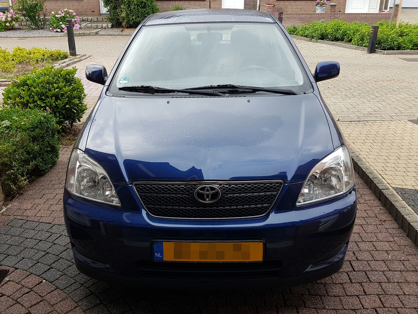 Corolla_vooraanzicht_voor.webp