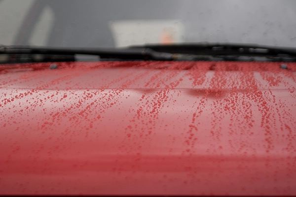 detailing07.webp