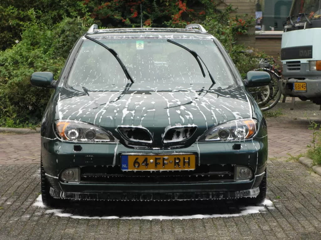 DetailSW11september001.webp