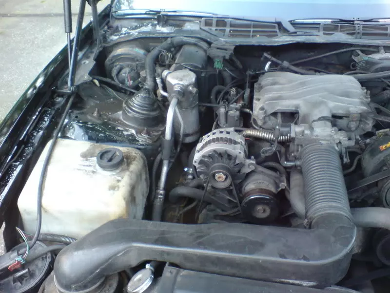 DSC00010.webp