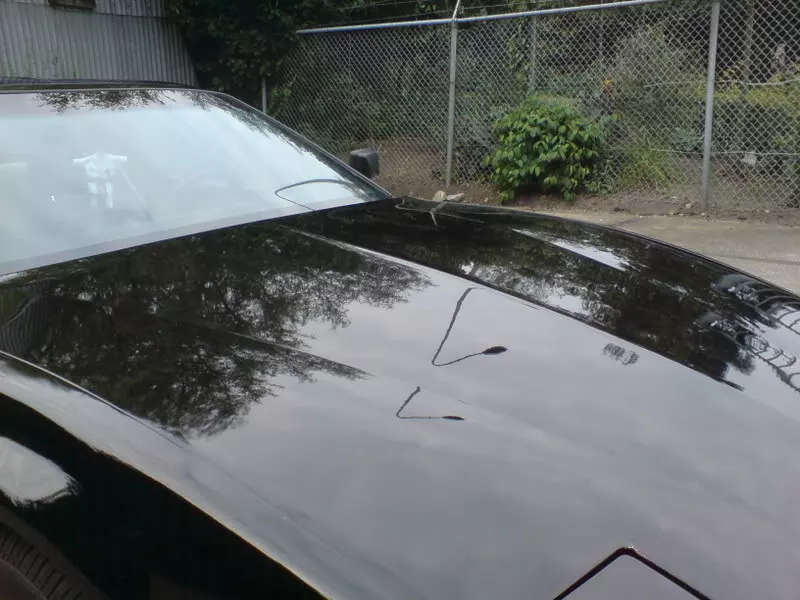 DSC00040-1.webp