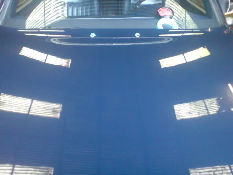 DSC00099.webp