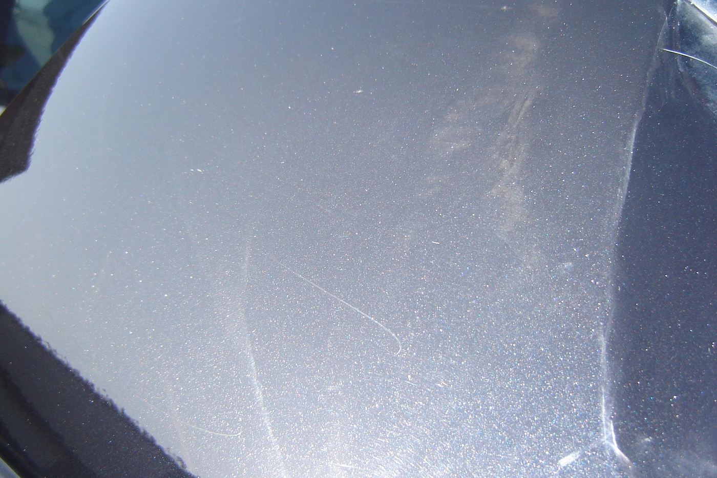 dsc00104ob.webp