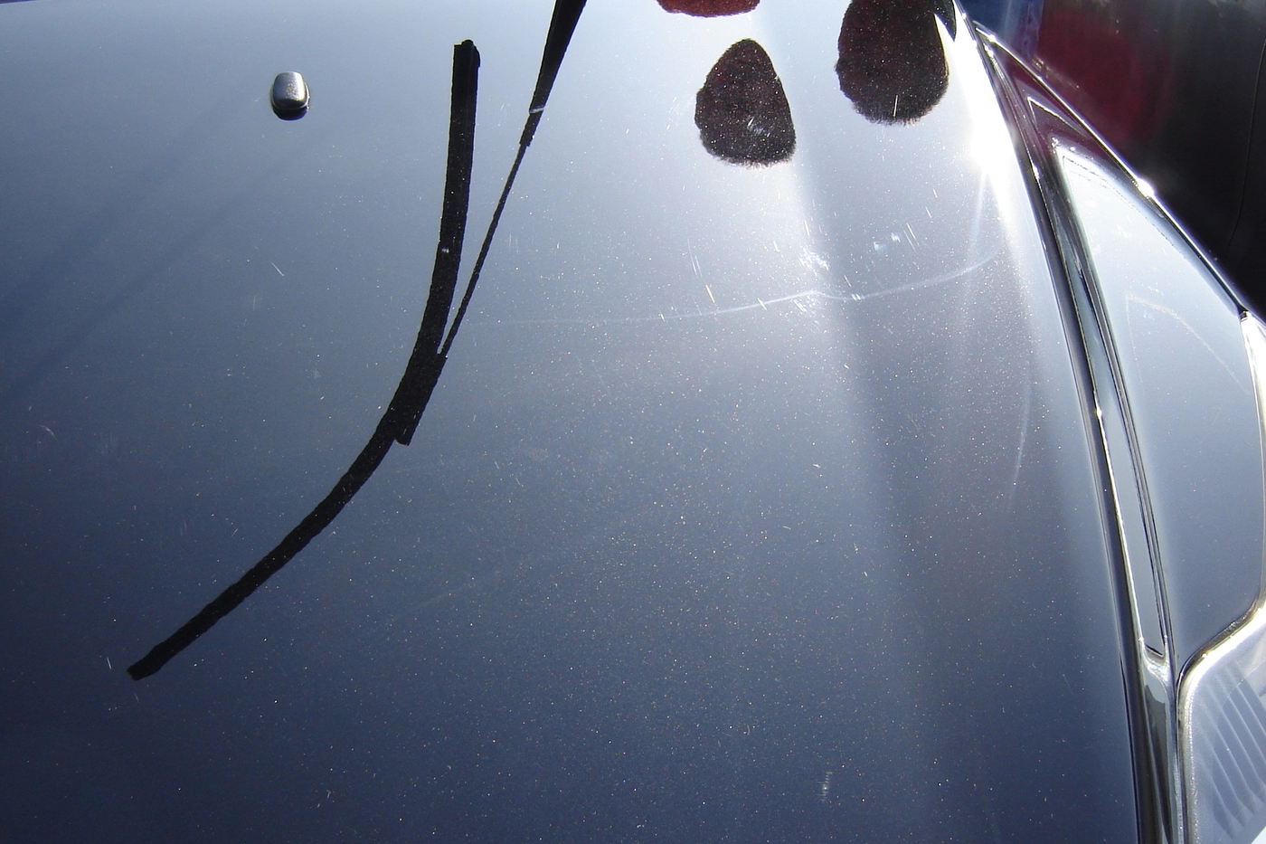 dsc00106fi.webp