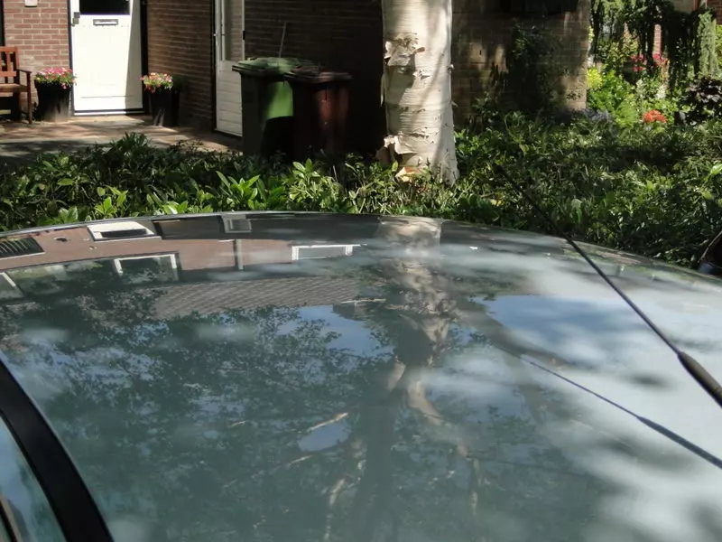 DSC00266.webp