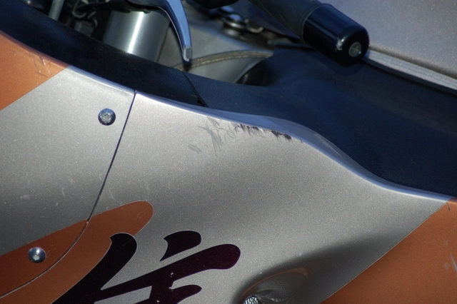 dsc0028l.webp