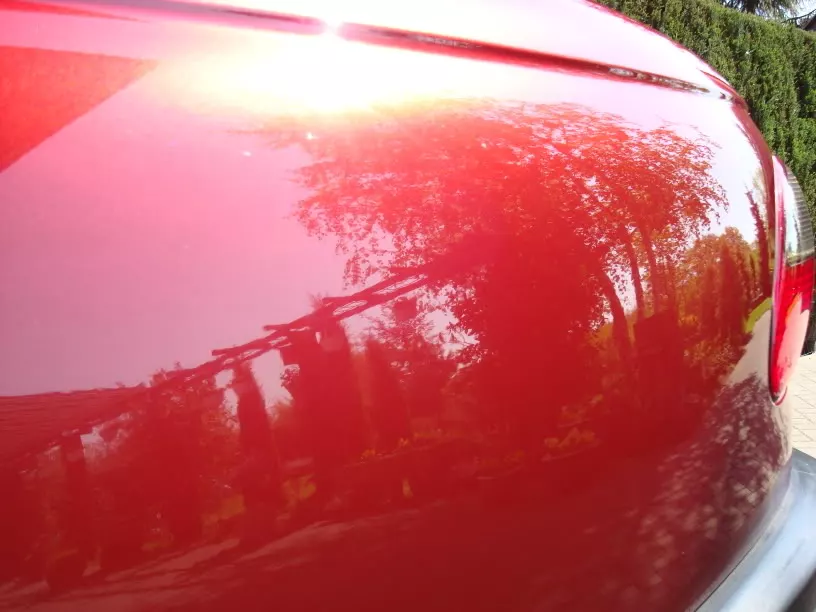 DSC00741.webp