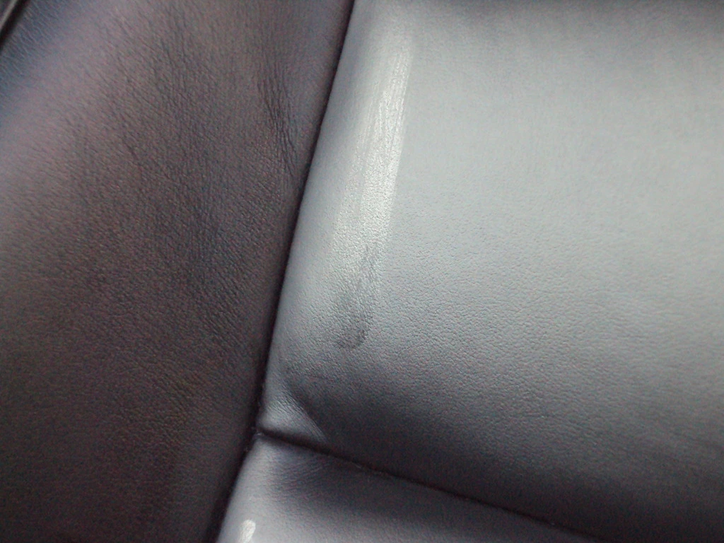 DSC01659_zps05f9502c.webp