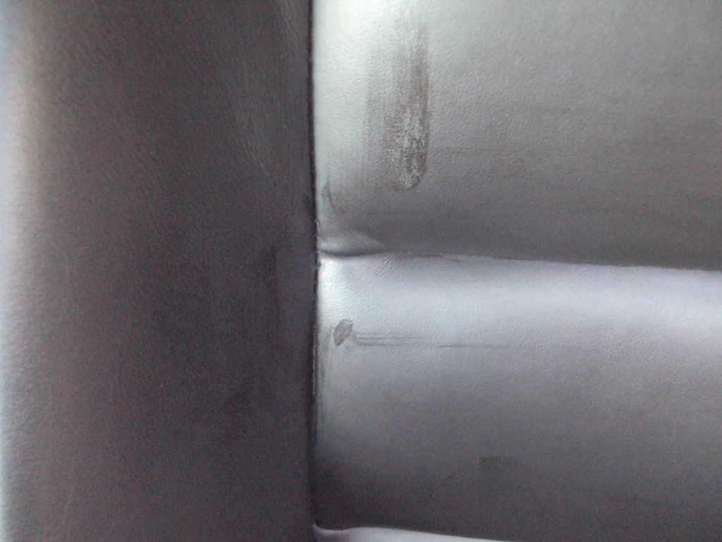 DSC01665_zps4faaa2c5.webp